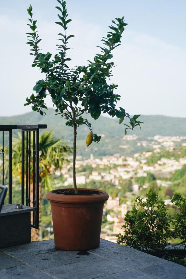 Almana Cernobbio